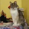 Отзыв от Ксения Рудакова